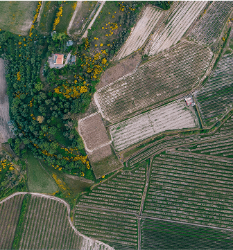 DJI_0196 (1)