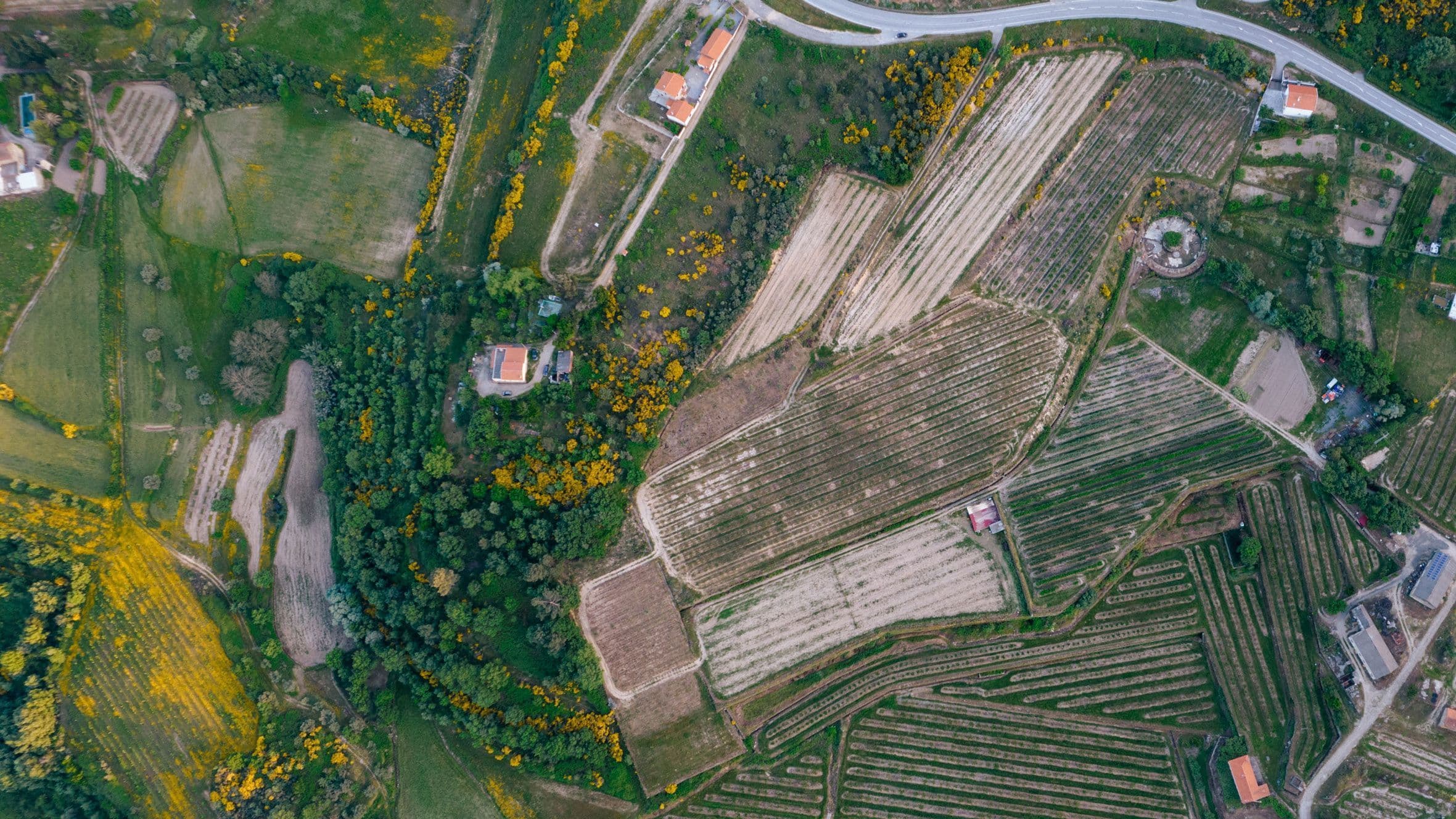 Land with and without trees 