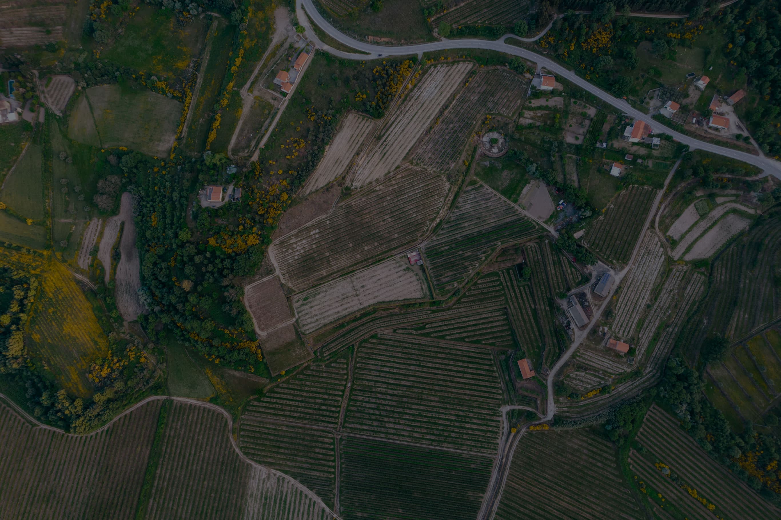 Vista aérea de diversos tipos de terrenos