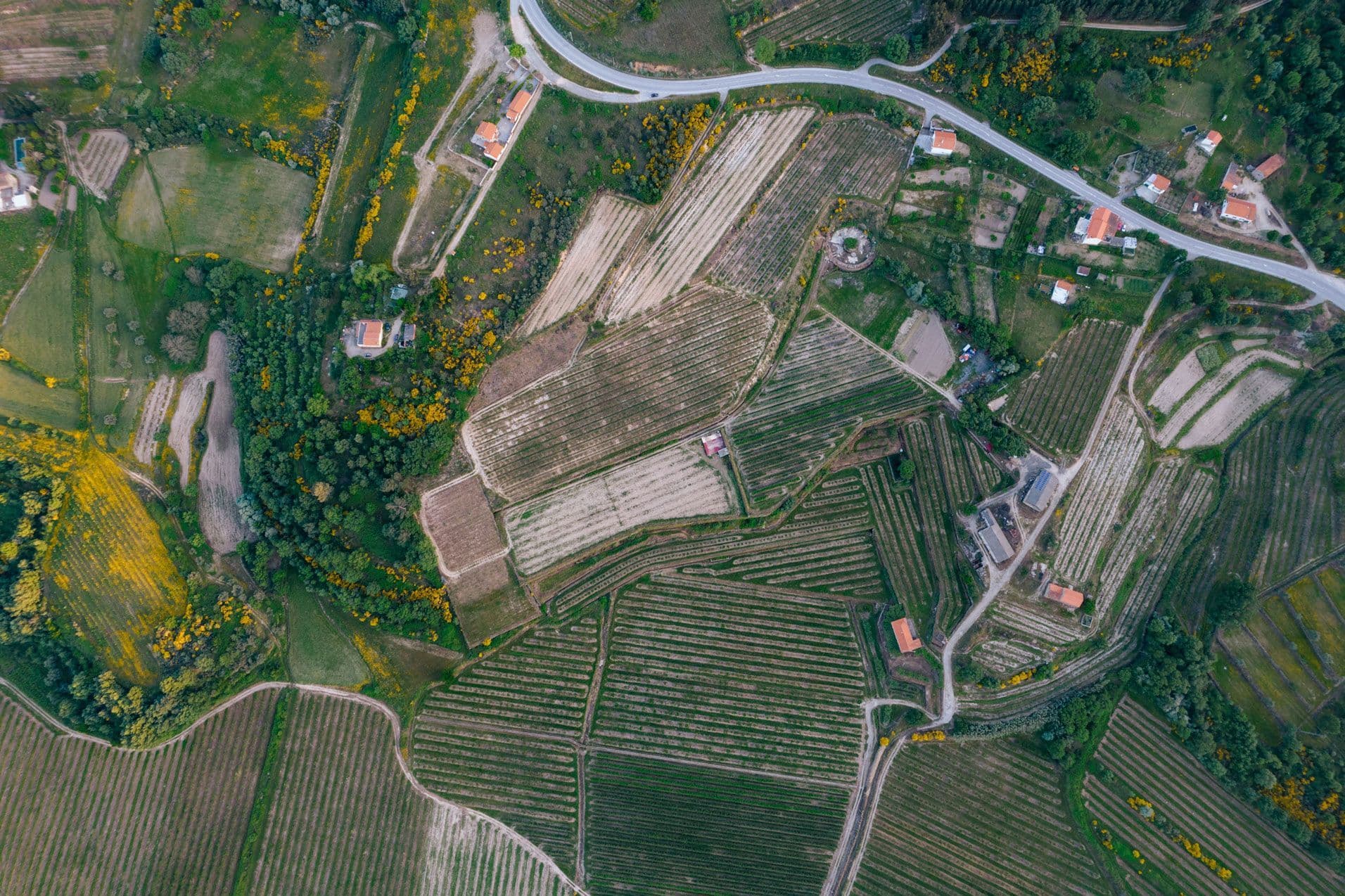 Território