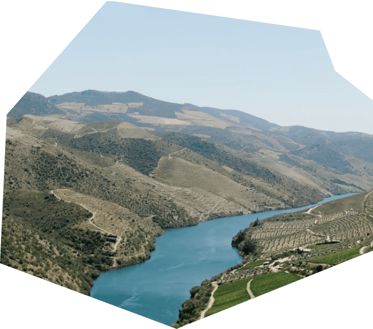 Lago
