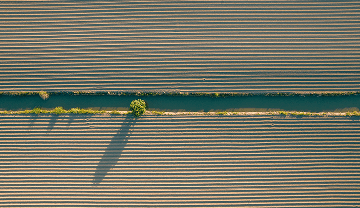 Vista aérea de uma terreno com um pequeno caminho