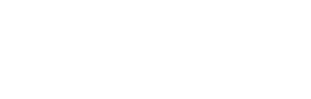 ebupi republica